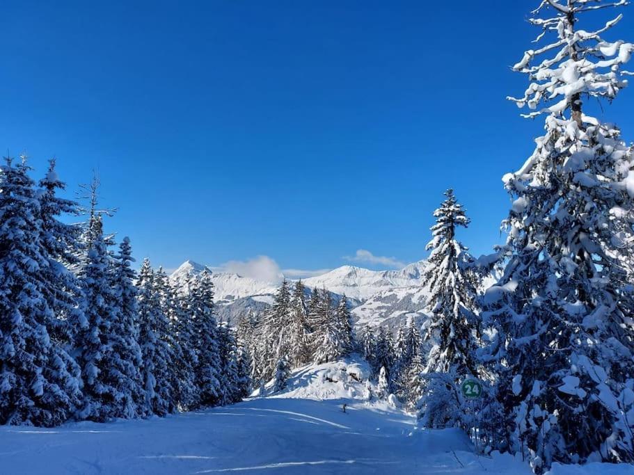Appartamento Di Charme Praz-sur-Arly Exterior photo